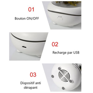 NOUVEAUTE - Diffuseur d'huiles essentielles LED "rose éternelle" - Purify-Home