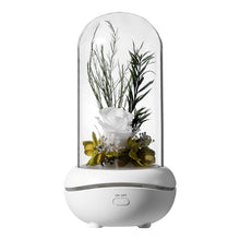 Charger l&#39;image dans la galerie, NOUVEAUTE - Diffuseur d&#39;huiles essentielles LED &quot;rose éternelle&quot; - Purify-Home
